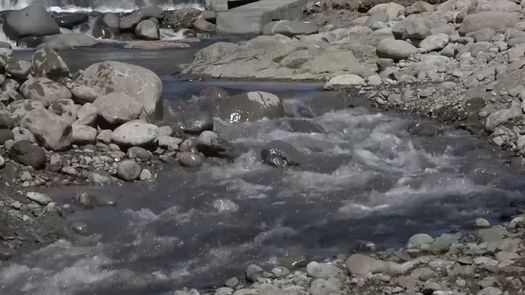 La falta de lluvia ha ocasionado que los niveles de los ríos sigan bajos y no se pueda garantizar el suministro de agua potable de forma adecuada, según indicó el IDAAN.