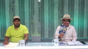 Eliminar control de precios del arroz de primera podría desatar una crisis