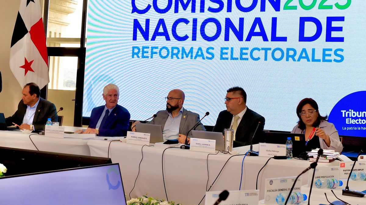 La Comisión Nacional de Reformas Electorales se reúne cada jueves. La Comisión Nacional de Reformas Electorales se reúne cada jueves.
