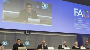 Esfuerzos de Panamá sobresalen en celebración de los 60 años de Codex Alimentarius