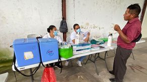 Minsa se mantiene en alerta por traslados de recolectores de café a Chiriquí y Costa Rica