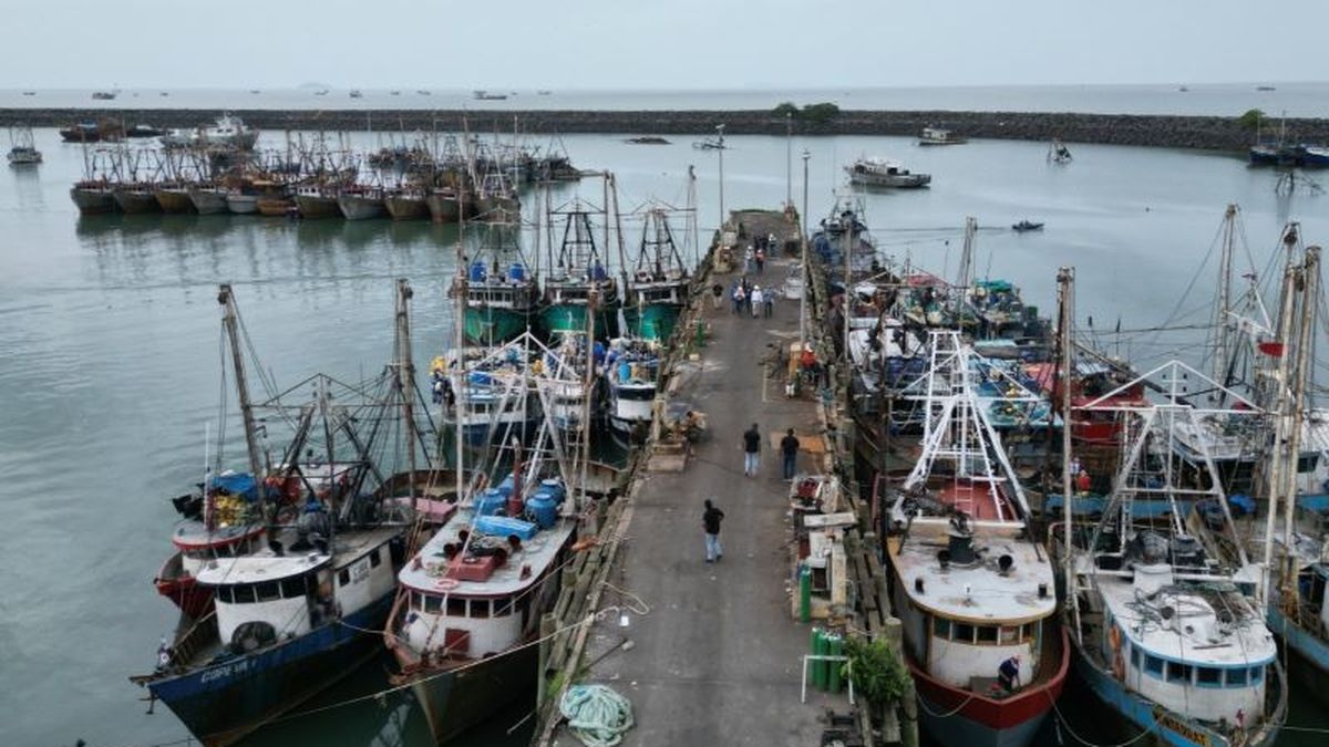 La Cámara Nacional de Pesca y Acuicultura de Panamá (CNPA) salió al paso de recientes cuestionamientos públicos sobre la actividad pesquera en el país, rechazando categóricamente la existencia de un supuesto descontrol y respaldando la gestión de la Autoridad de los Recursos Acuáticos de Panamá (ARAP). La Cámara Nacional de Pesca y Acuicultura de Panamá (CNPA) salió al paso de recientes cuestionamientos públicos sobre la actividad pesquera en el país, rechazando categóricamente la existencia de un supuesto descontrol y respaldando la gestión de la Autoridad de los Recursos Acuáticos de Panamá (ARAP).