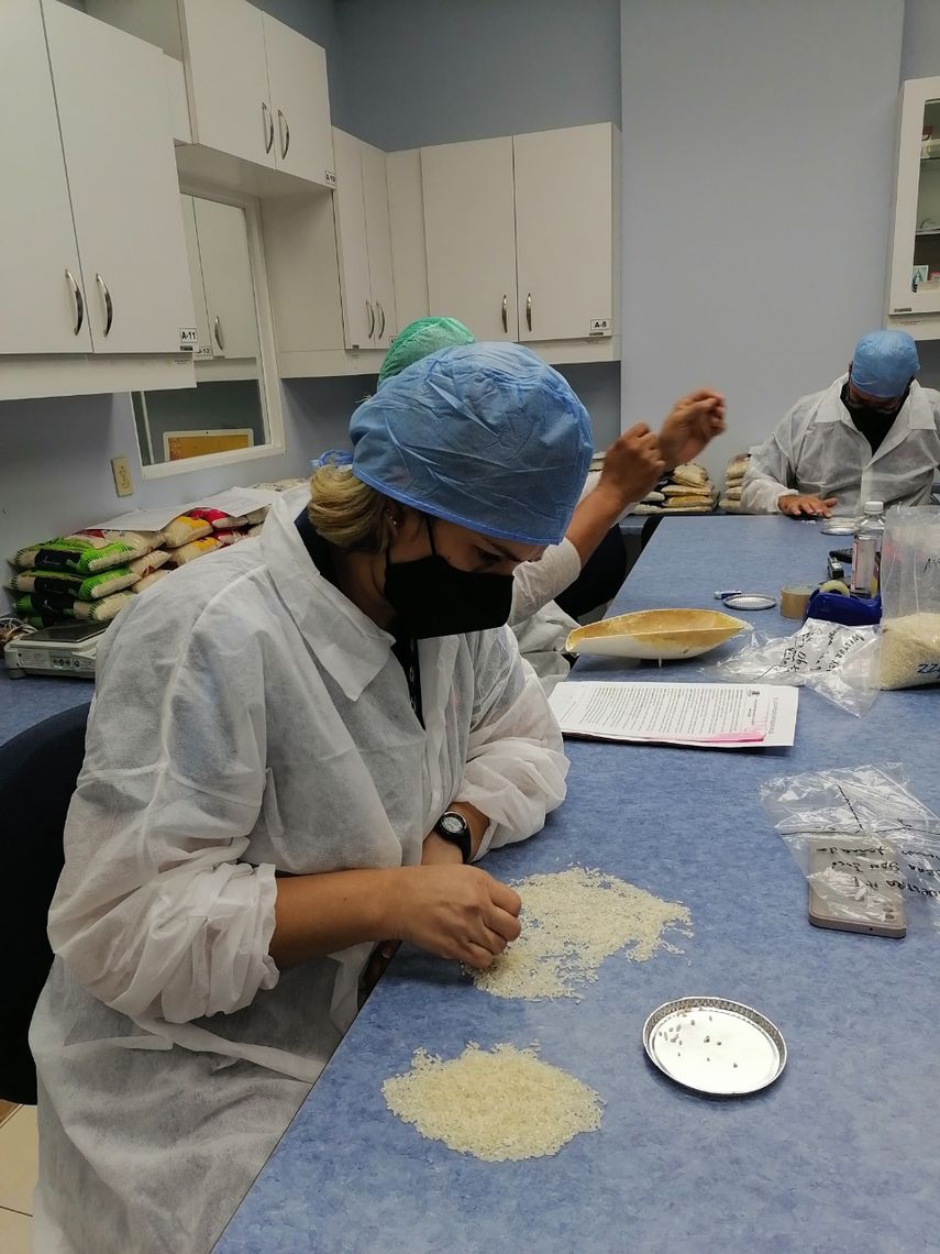 Analmo pide a Acodeco un nuevo análisis de calidad de arroz