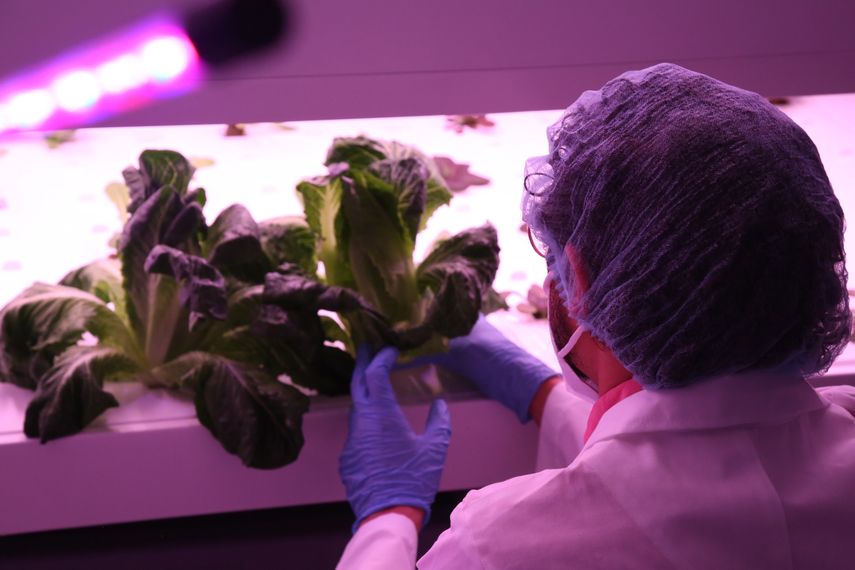 La Senacyt y la Universidad de Panamá firman convenio para el desarrollo del Centro de Investigación y Producción en Ambiente Controlado