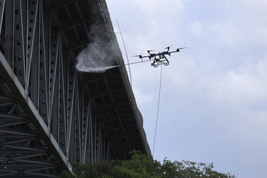 La Asociación Panameña de Ejecutivos de Empresa (APEDE) aseguró que lo ocurrido en el Puente de las Américas debe ser tomado como una señal de alerta sobre la falta de protocolos claros para responder a emergencias en infraestructuras clave del país.