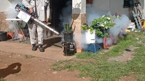 Boca del Toro y Colón las provincias con más casos dengue en el país