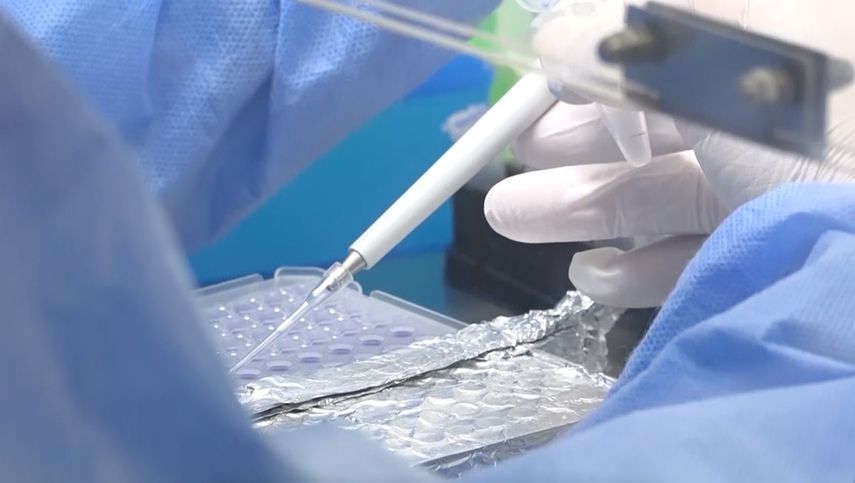 El jefe regional de Control de Vectores