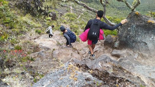 Rehabilitarán sendero a la cima del Volcán Barú