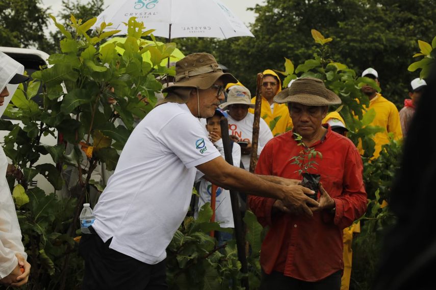 Ministerio de Ambiente y Anarap concluyen exitosa jornada de reforestación. Ministerio de Ambiente y Anarap concluyen exitosa jornada de reforestación.