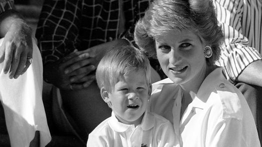 El hermano de la difunta princesa de Gales Diana Spencer cuenta en su libro de memorias aún no puesto a la venta que su exmarido, el entonces príncipe Carlos y actual rey Carlos III del Reino Unido, se refirió a la muerte de Lady Di en su primera conversación con él como si hubiera ganado la lotería. El hermano de la difunta princesa de Gales Diana Spencer cuenta en su libro de memorias aún no puesto a la venta que su exmarido, el entonces príncipe Carlos y actual rey Carlos III del Reino Unido, se refirió a la muerte de Lady Di en su primera conversación con él como si hubiera ganado la lotería.