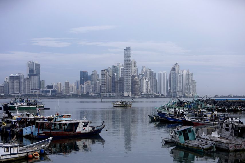Greenpeace: Semana del Clima es una oportunidad para iniciar un plan antideforestación