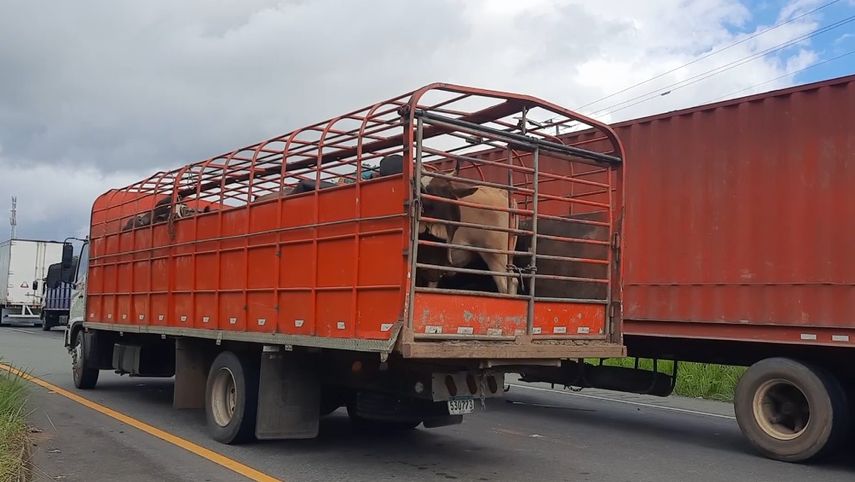 Continúan afectaciones por cierres de la comarca Ngäbe-Buglé