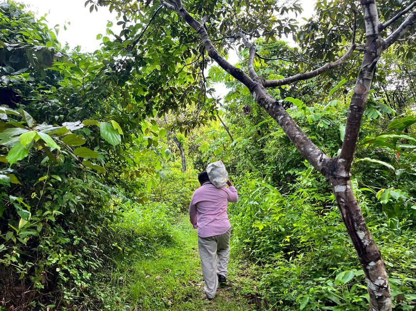 IMA mantendrá entrega de bolsas de alimentos a damnificados por el sismo