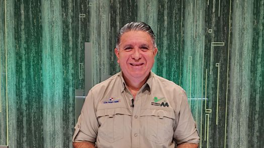 Moratoria de pagos de aseo recauda $2.1 millones, pese a deuda de $116 millones