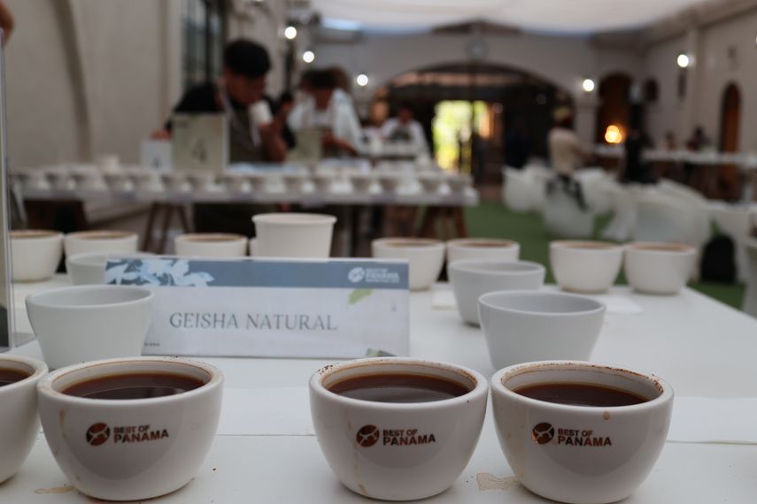 Geisha panameño obtiene calificación más alta en historia de competencias de café