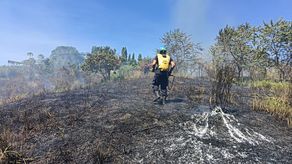 MiAMBIENTE desplegó más de 400 funcionarios en el operativo de Carnaval 2025