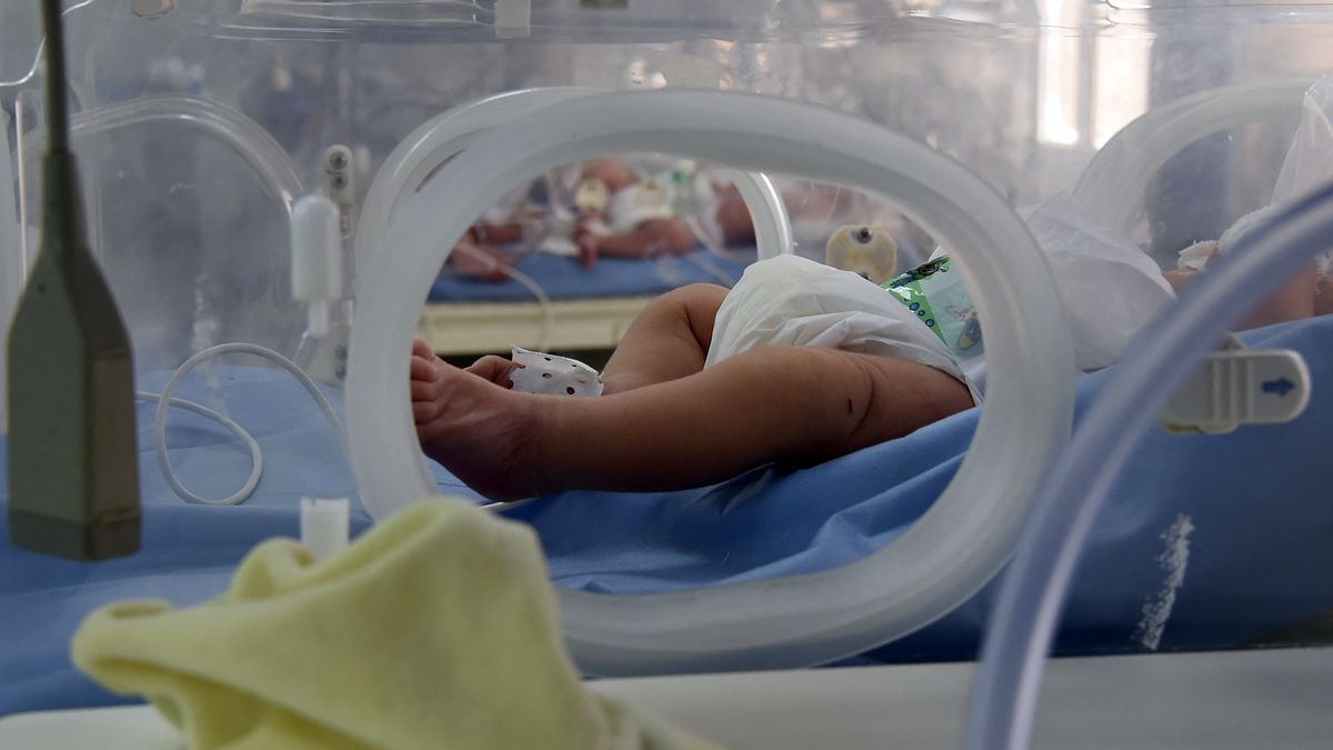 Lucy Córdoba: No todas las mujeres nacieron para ser madres Lucy Córdoba: No todas las mujeres nacieron para ser madres