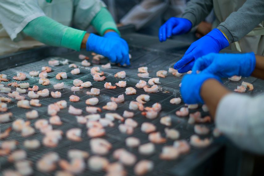 Las exportaciones de bienes de Panamá alcanzaron B/. 250.7 millones al cierre de marzo de 2026