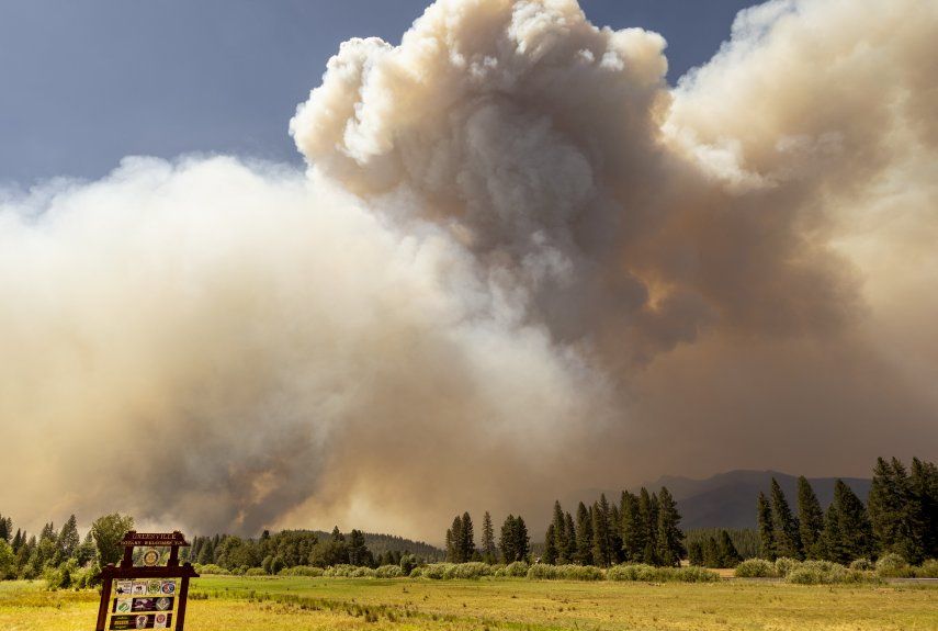 Incendio forestal en California: Las cuadrillas estiman que el fuego, que comenzó el 13 de julio, no se extinguirá antes del 20 de agosto. 
