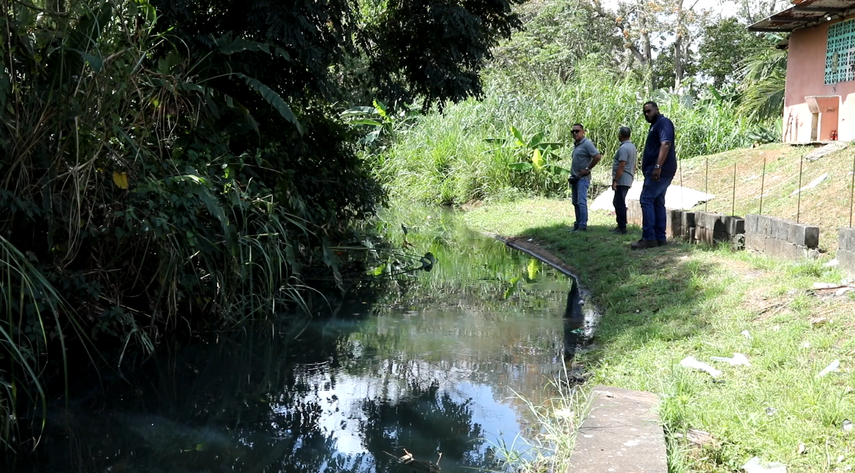 MiAmbiente educará a población debido a proliferación de cocodrilos en Tocumen
