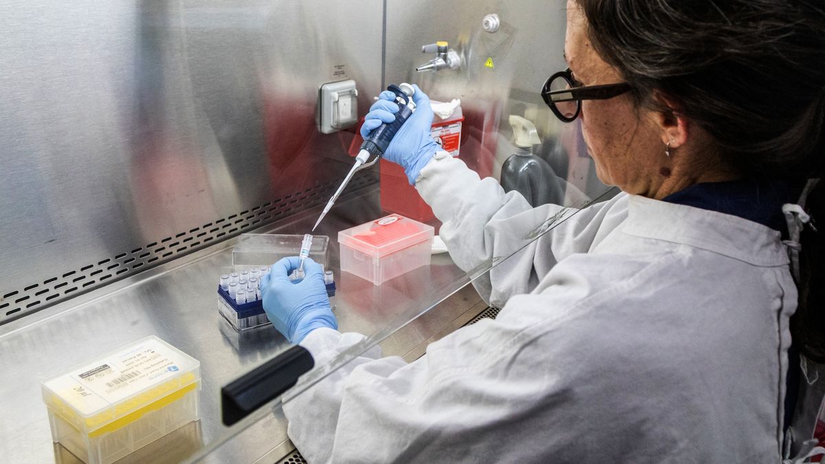 Los científicos temen el impacto de la medida, en las investigaciones por hantavirus. AFP Los científicos temen el impacto de la medida, en las investigaciones por hantavirus. AFP