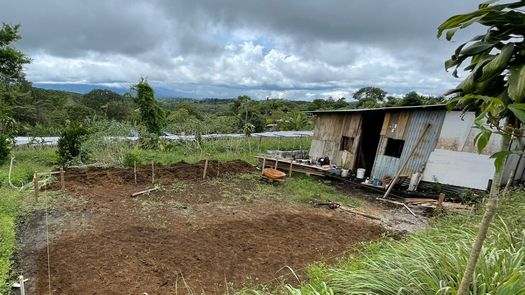 MIVIOT comienza trabajos en viviendas de Renacimiento