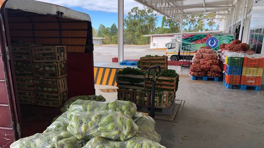 MIDA pide diálogo a transportistas de carga de alimentos para evitar el paro