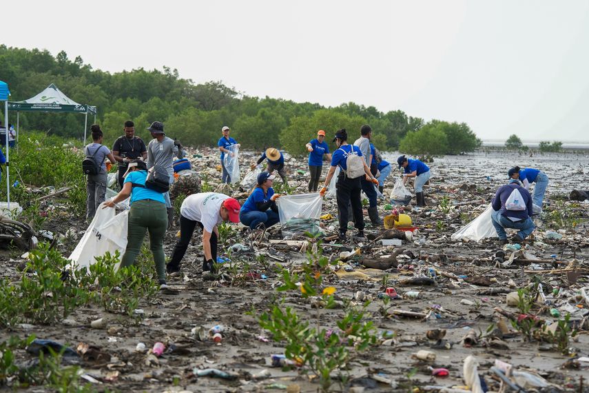 Jornada de recolección de basura en Costa del Este.