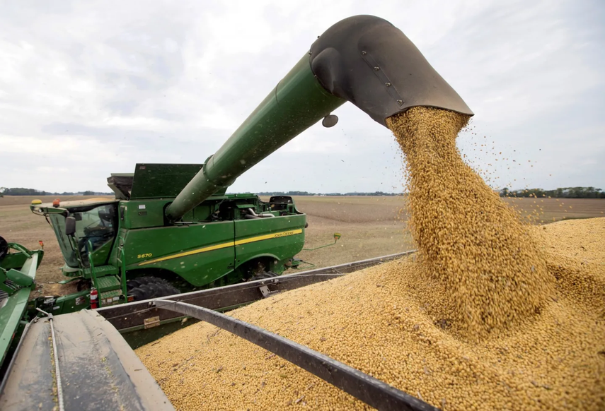 Exportación de soja en Paraguay cae en 1,3 millones de tonelada en primer semestre de 2025