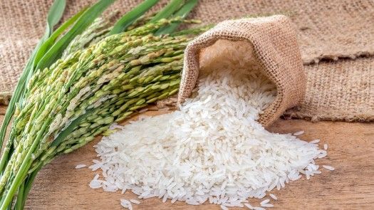 Analizan opciones para evitar aumento en precio del arroz