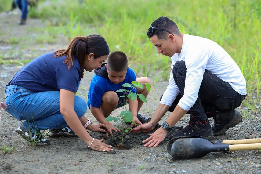 MiAmbiente y grupos organizados realizan reforestación en la cuenca del río Pacora