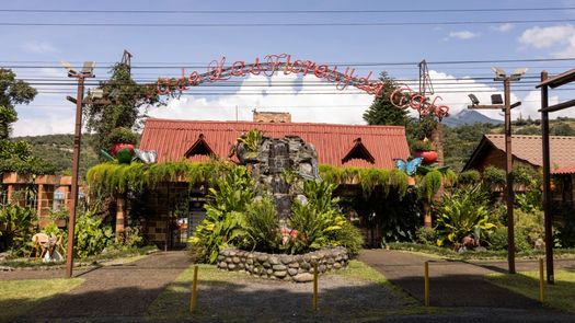 El Patronato de la Feria de Boquete prepara sus jardines ante posible apertura