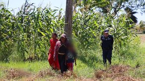 El Mitradel indicó que los cinco menores fueron retirados del campo.