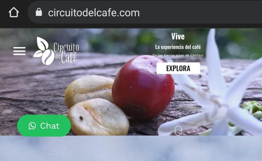 El lanzamiento de la plataforma Circuito del Café busca promover el turismo nacional e internacional.