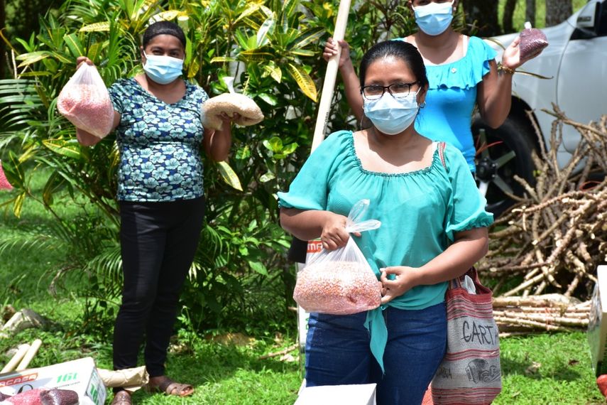 Desempleo afecta un 24% a las mujeres y 30% a jóvenes