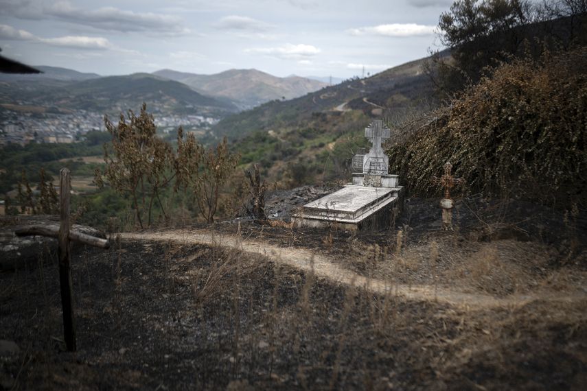 Este domingo solo quedaban activos tres grandes incendios en España, informaron las autoridades. Este domingo solo quedaban activos tres grandes incendios en España, informaron las autoridades.