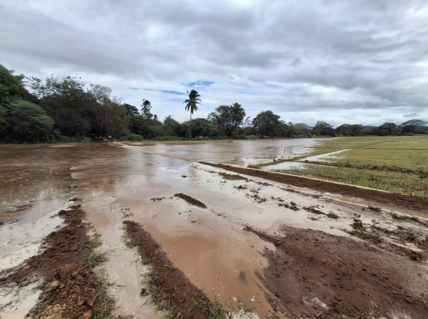 Tras afectaciones por recientes lluvias productores asegurados con el ISA recibirán indemnizaciones