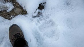 ONU enciende alarmas al validar récord de calor en el Ártico