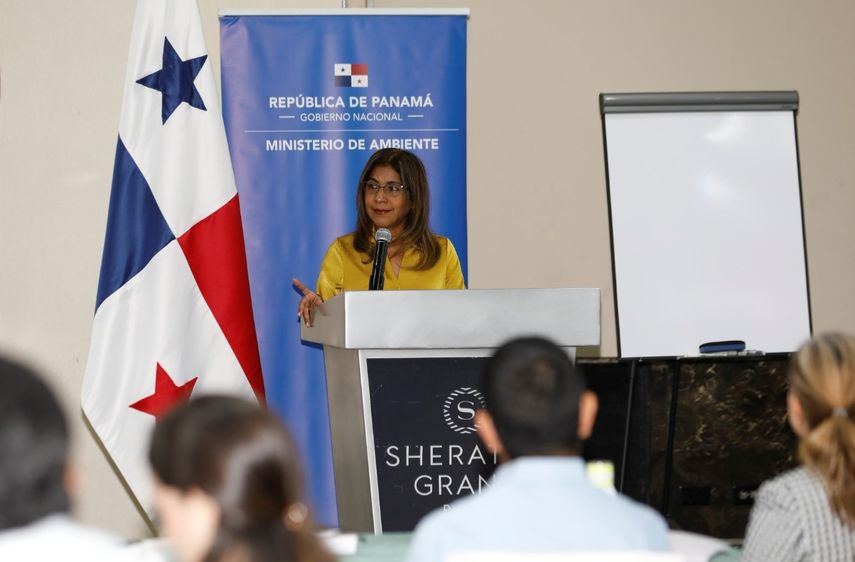 MiAmbiente lanza hoja de ruta para desarrollo del MNCP