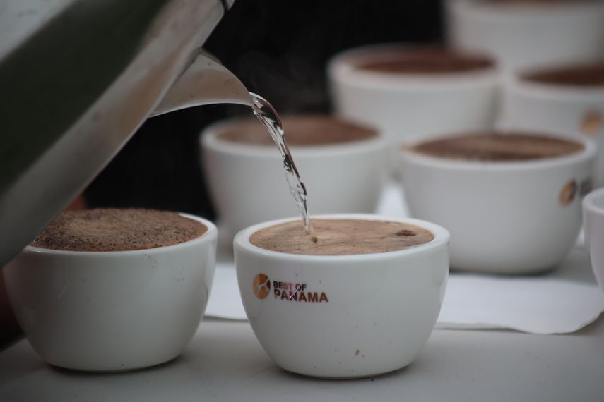 Panamá celebra subasta electrónica con cafés de lujo, Best of Panama