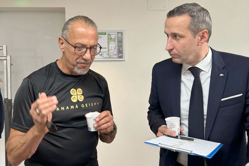 Panama Geisha Los Lajones despierta el interés de los Sommeliers de Francia. Panama Geisha Los Lajones despierta el interés de los Sommeliers de Francia.