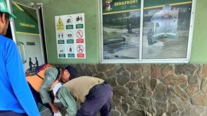 MP: Imputan a dos personas por tráfico de pieles de babillo