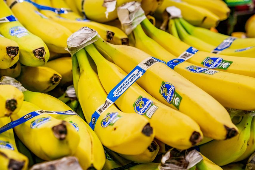 Chiquita Panamá anuncia cierre de fincas y pérdida de mercado internacional