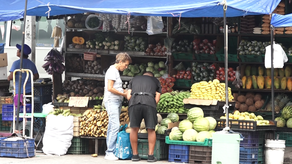 Canasta básica de alimentos sobrepasa los 300 dólares en el mes de mayo