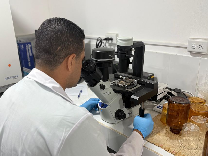 El director ejecutivo del IDAAN, Rutilio Villarreal, informó que las plantas potabilizadoras Roberto Reyna en Chitré y Rufina Alfaro en Los Santos restablecieron su operación al 50%. El director ejecutivo del IDAAN, Rutilio Villarreal, informó que las plantas potabilizadoras Roberto Reyna en Chitré y Rufina Alfaro en Los Santos restablecieron su operación al 50%.