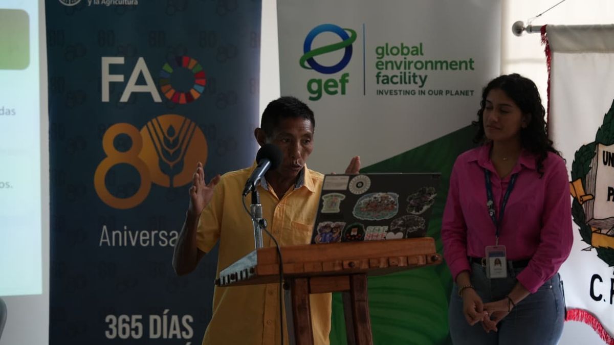 MiAmbiente busca conservar bosques en Darién. MiAmbiente busca conservar bosques en Darién.