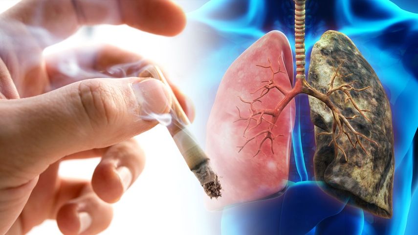 Panamá será sede de la Conferencia de las Partes del Convenio Marco de la Organización Mundial de la Salud (OMS) para el Control del Tabaco. Panamá será sede de la Conferencia de las Partes del Convenio Marco de la Organización Mundial de la Salud (OMS) para el Control del Tabaco.