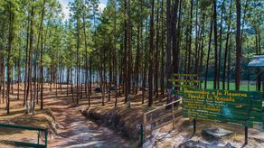 Panamá celebra el Día Internacional de los Parques Nacionales con 18 áreas protegidas