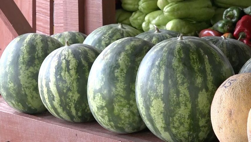 De acuerdo con datos de la Dirección Nacional de Industrias del MICI, las actividades agroindustriales abarcan más del 50% de la industria en el país. De acuerdo con datos de la Dirección Nacional de Industrias del MICI, las actividades agroindustriales abarcan más del 50% de la industria en el país.