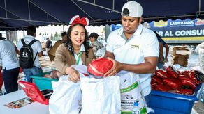 NaviFerias llegarán a Panamá